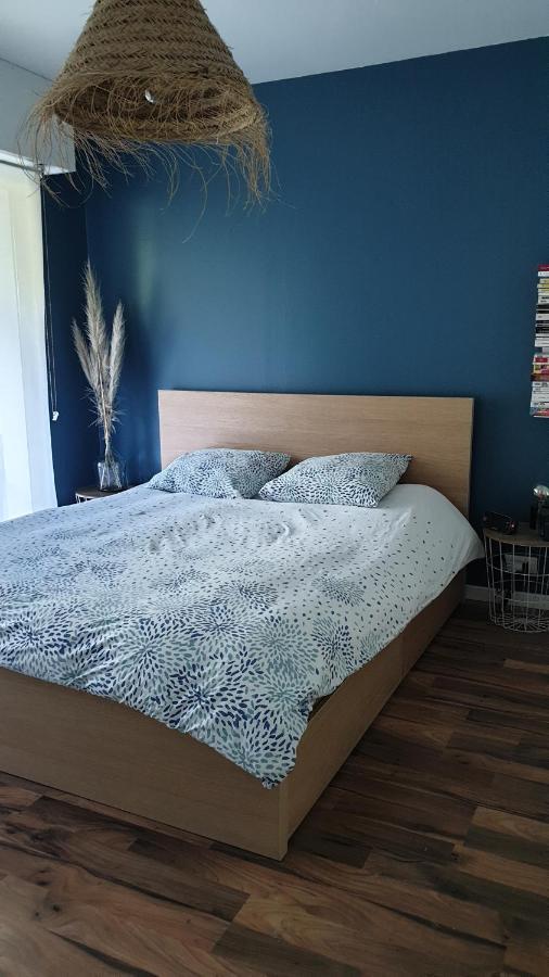 Appartement Calme Avec Jardin Bidart Biarritz المظهر الخارجي الصورة
